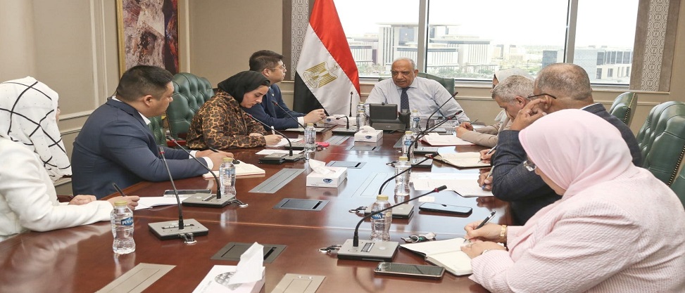 وزير الكهرباء يبحث مع شركة صينية توطين صناعة الخلايا الشمسية بمصر