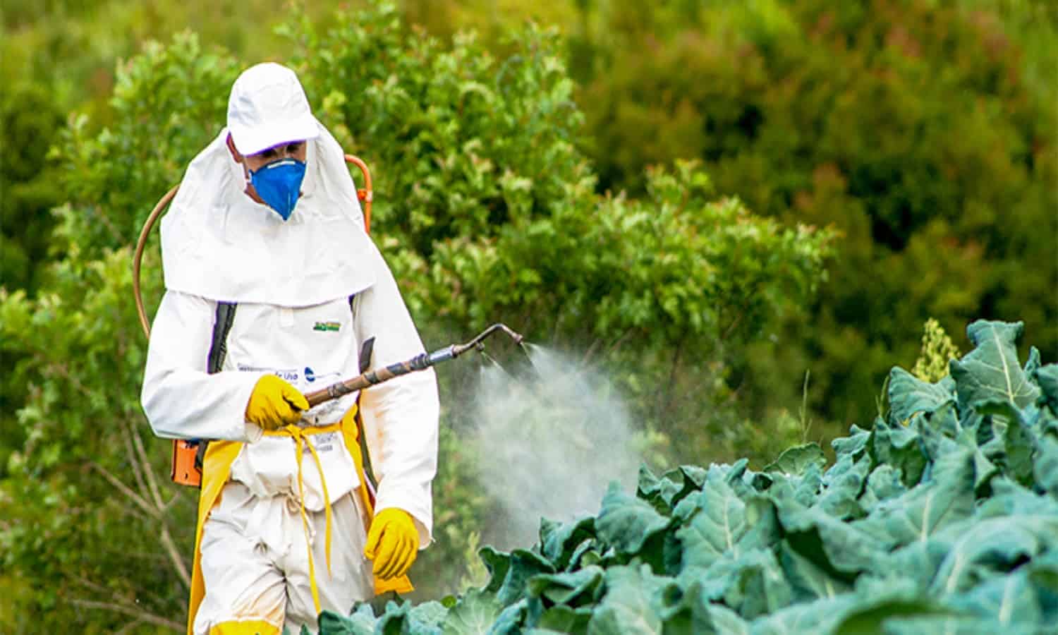 Kafr El Zayat Pesticides’ consolidated profits up 27.6% YoY in Q1 2024
