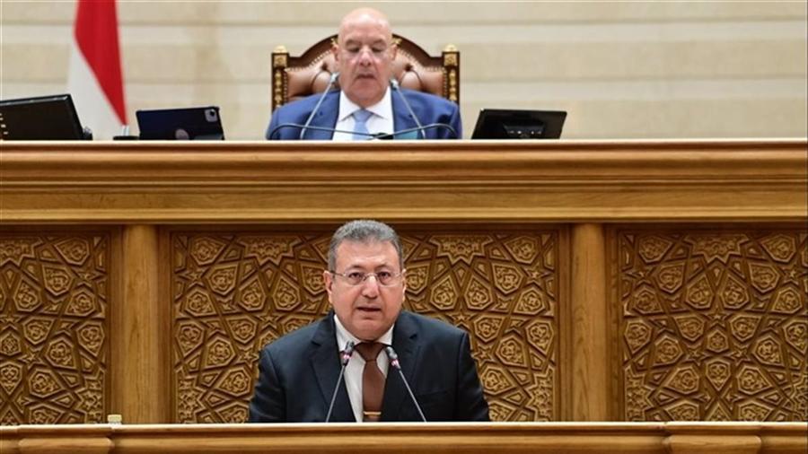 Arab Finance - Egyptian parliament approves accession to D-8 PTA