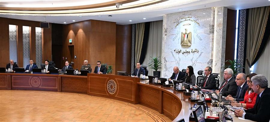 Cabinet grants golden license for New Alamein silicon project