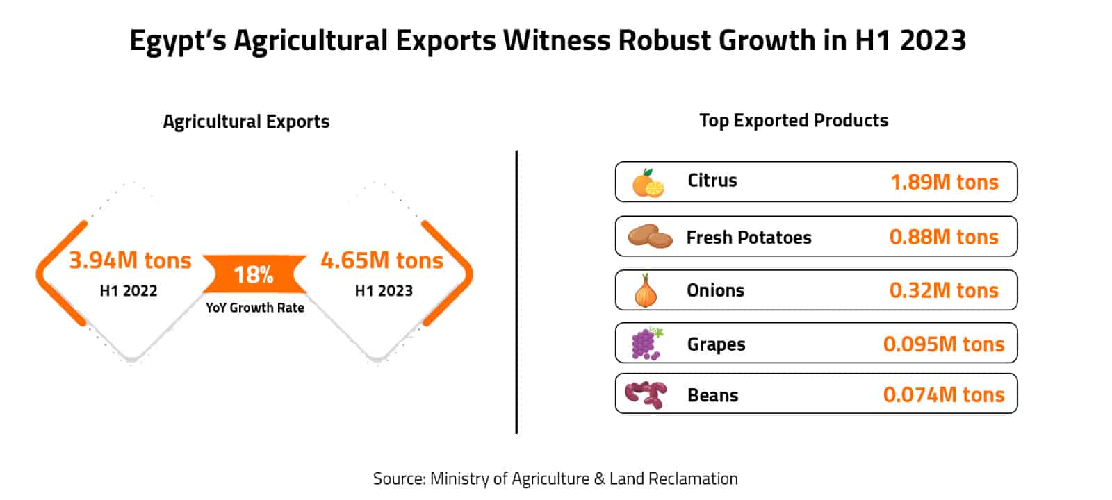 Egypt’s Agricultural Exports Witness Robust Growth in H1 2023 