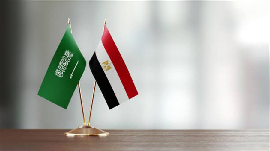 Egypt-Saudi Arabia bilateral trade up 20.3% in H1 2026: CAPMAS

