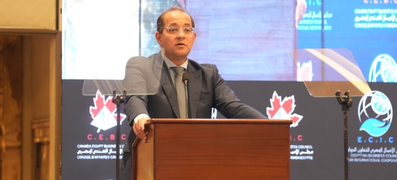 Egypt to launch 2nd package of tax facilities by FY2025/26-end: Kouchouk

