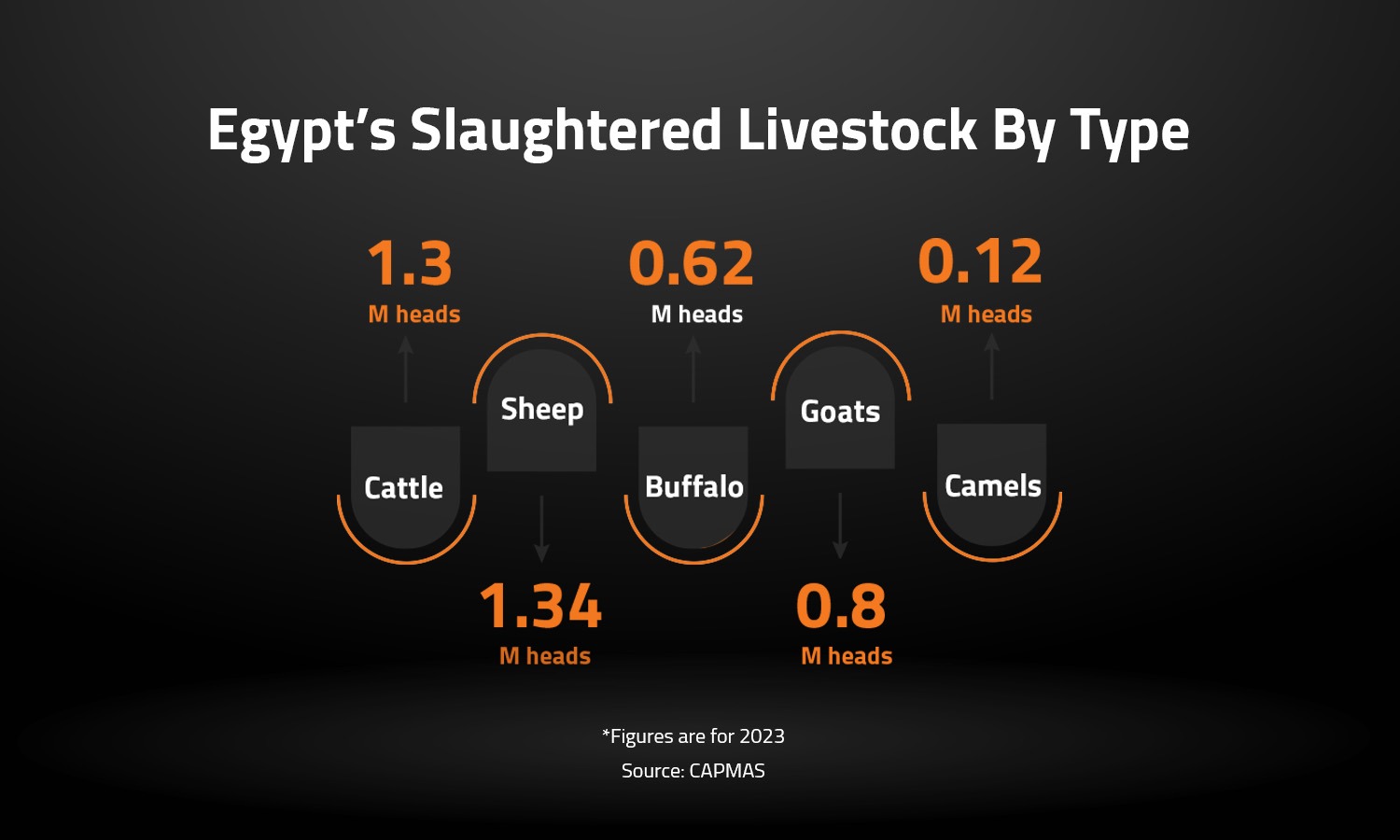 Egypt’s Slaughtered Livestock By Type 