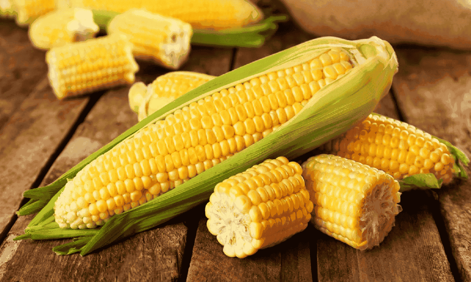 GASC buys 120,000 tons of Ukrainian yellow corn