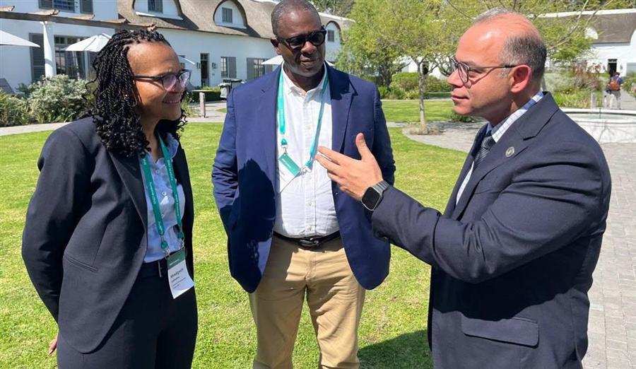 Egypt targets South African investment, African export hub role