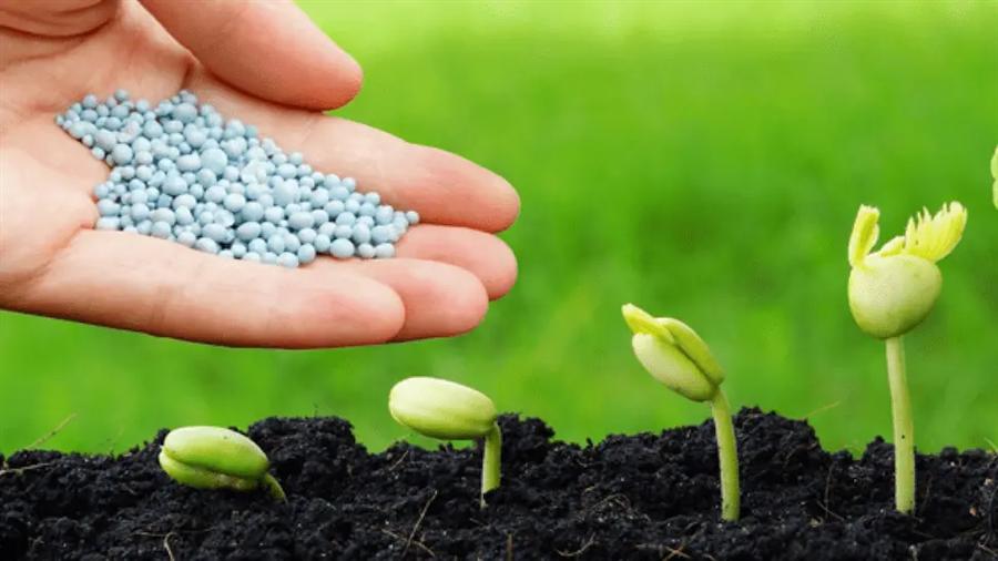 الدولية للأسمدة تساهم في إنشاء شركة لمنتجات البذور