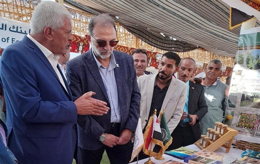 سلامة الغذاء تُدرج 10 مصانع جديدة بالقائمة البيضاء لتصدير التمور سلامة الغذاء تُدرج 10 مصانع جديدة بالقائمة البيضاء لتصدير التمور