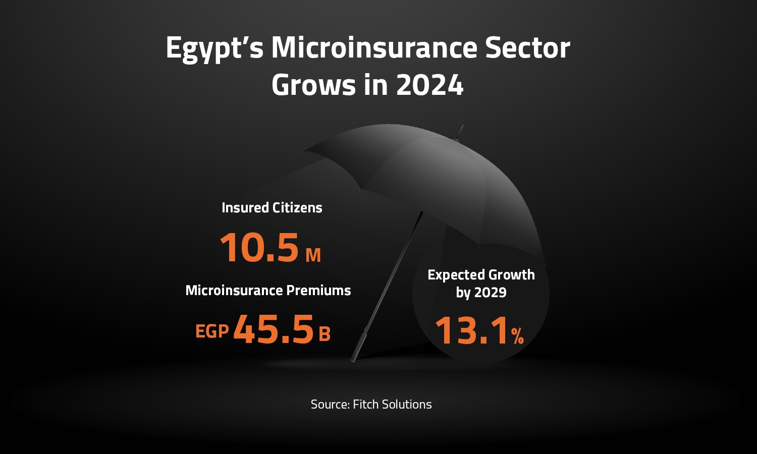 Egypt’s Microinsurance Sector Grows in 2024