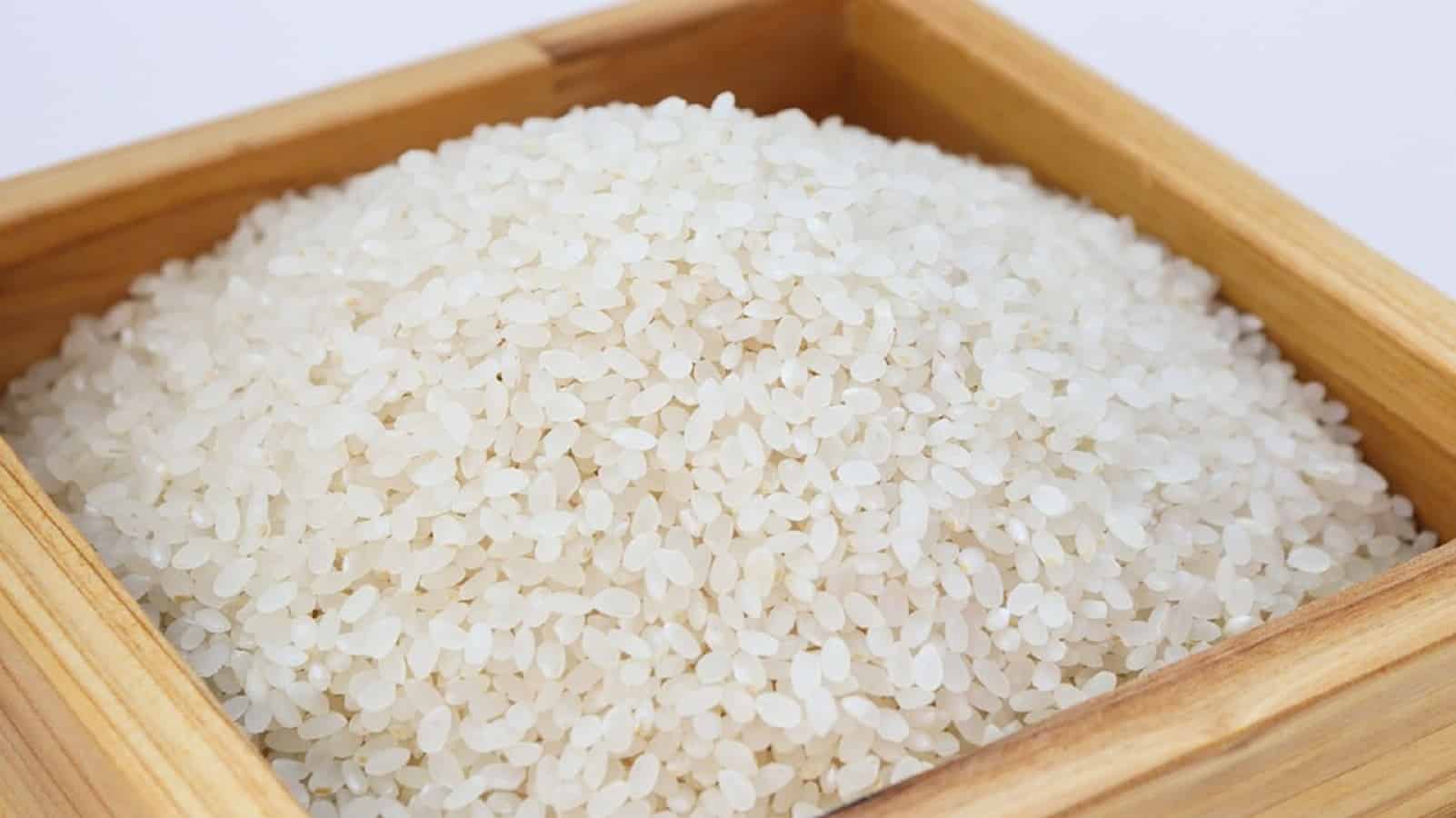 هيئة السلع التموينية تشتري 50 ألف طن من الأرز في مناقصة