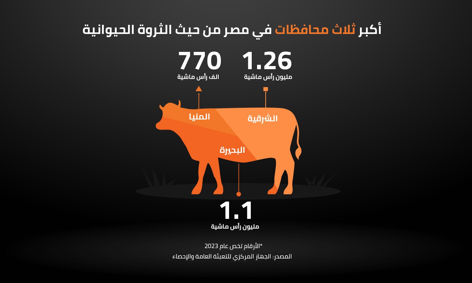 أكبر ثلاث محافظات في مصر من حيث الثروة الحيوانية 