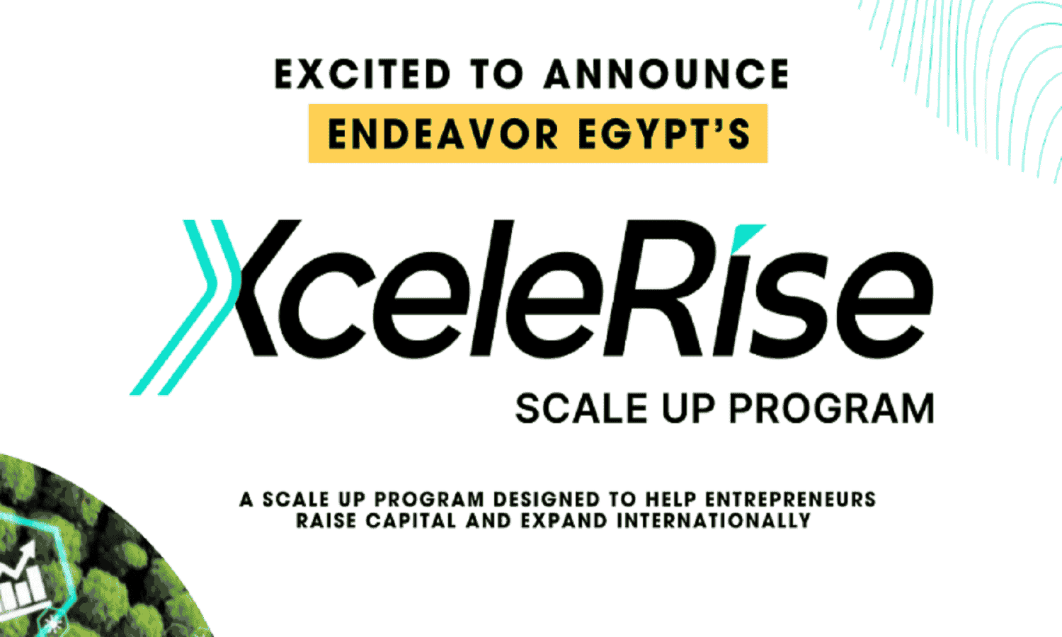 إنديفور مصر تطلق برنامج XceleRise لدعم رواد الأعمال المحليين
