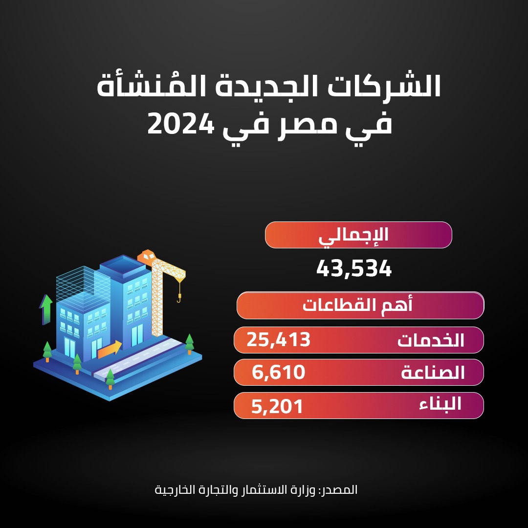 الشركات الجديدة المُنشأة في مصر في 2024