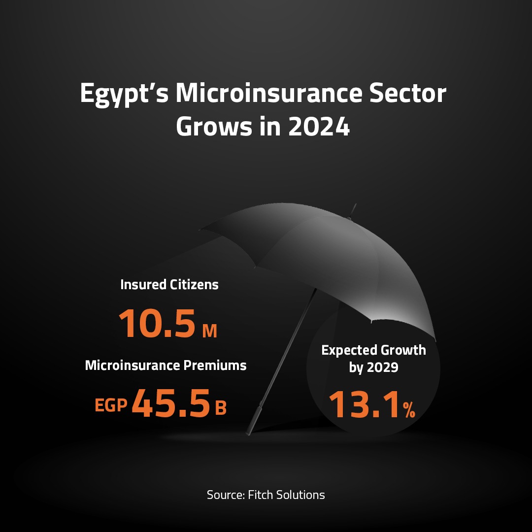 Egypt’s Microinsurance Sector Grows in 2024