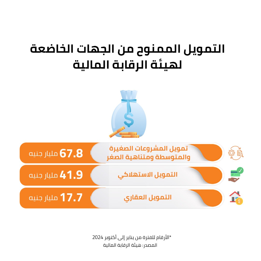 التمويل الممنوح من الجهات الخا