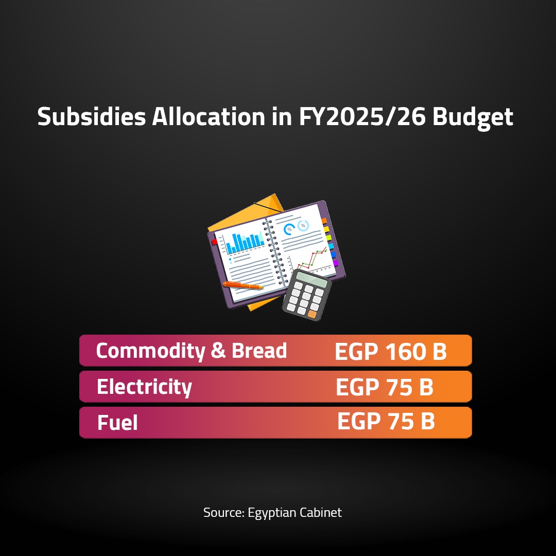 Subsidies Allocation in FY2025
