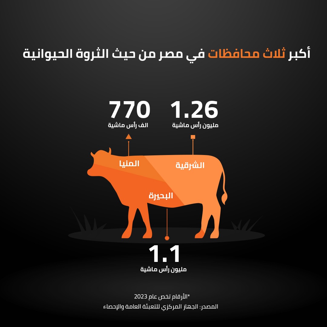 أكبر ثلاث محافظات في مصر من حيث الثروة الحيوانية 